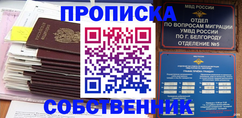 прописка законно в Заинске